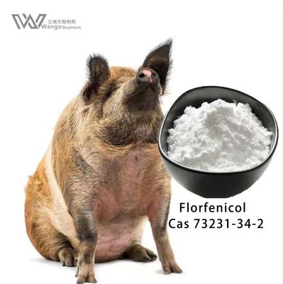 Veterinary Florfenicol Powder 99% Antibiotics Cas 73231-34-2