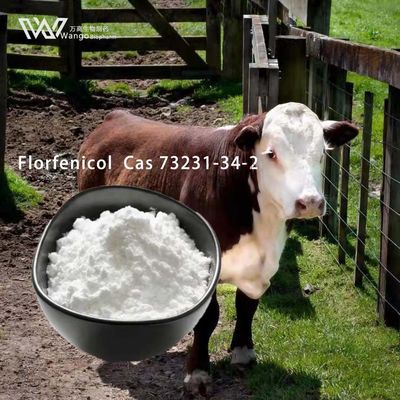 Veterinary Florfenicol Powder 99% Antibiotics Cas 73231-34-2