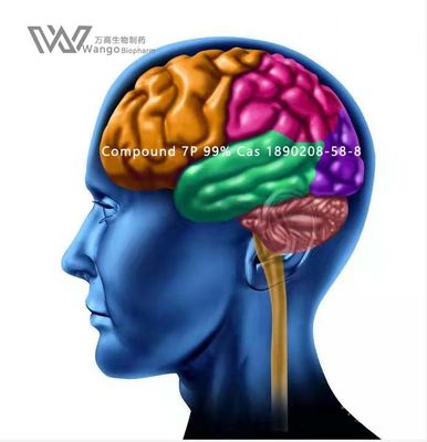 CAS 157115-85-0 Noopept GVS- 111 Wit Poeder voor Brain Improvement
