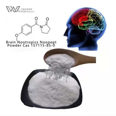 Gvs-111 Wit Poeder 157115-85-0 Cognitief Verbeterend Supplement van Noopept Oxiracetam