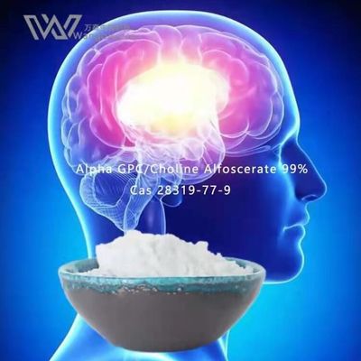 HPLC het Bulkpoeder van Nootropics, Alpha Gpc Acetylcholine 28319-77-9